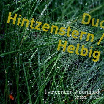 https://timhelbig.de/files/gimgs/th-120_Denstedt2026_coverD_red.jpeg
